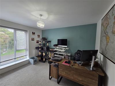 Picture 14